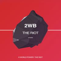 Artwork for The Riot by 2WB