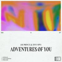 Artwork for Adventures Of You by Jay Prince