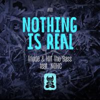 Artwork for Nothing Is Real by Triode