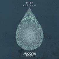 Artwork for Who? by Who Else