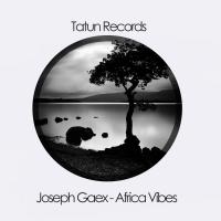 Artwork for African Vibes by Joseph Gaex