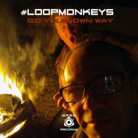 Artwork for Go Your Own Way by #LoopMonkeys