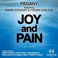 Artwork for Joy & Pain by Pagany