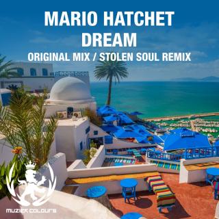 Artwork for Dream (Stolen Soul Remix)