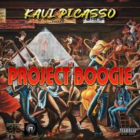 Artwork for Project Boogie by Kavi Picasso