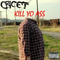 Artwork for Kill Yo Ass by Cricet