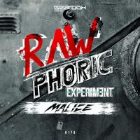 Artwork for Rawphoric Experiment by Malice