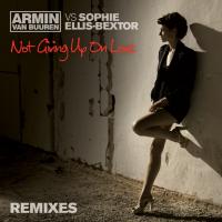 Artwork for Not Giving Up On Love (Remixes) by Armin van Buuren