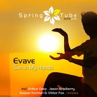 Artwork for Sun in My Hands by Evave