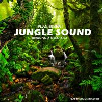 Artwork for Jungle Sound (Birds and Insects FX) by Plastikbeat