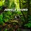 Artwork for Jungle Sound (Birds and Insects FX) (Original Mix)