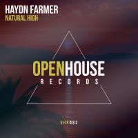 Artwork for Natural High by Haydn Farmer