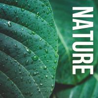 Artwork for Nature by Sounds Of Nature