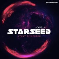 Artwork for Starseed (Acapella) by Cekay Pellegrini