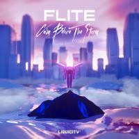 Artwork for Calm Before The Storm by Flite