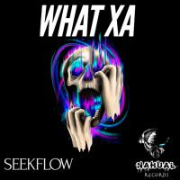 Artwork for What Xa by Seekflow