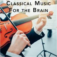 Artwork for Classical Music For the Brain by Classical Study Music