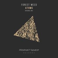 Artwork for Atoms by Forest Weed