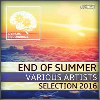 Artwork for End of Summer 2016 Va by Various Artists