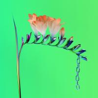 Artwork for Skin Companion EP I by Flume