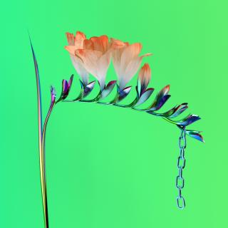 Artwork for v