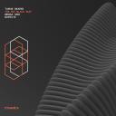 Artwork for The Big Black Bug