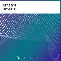 Artwork for Polymorphic by Hit The Bass