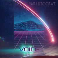 Artwork for Voice by DJ Aristocrat