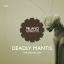 Artwork for Deadly Mantis (Original Mix)