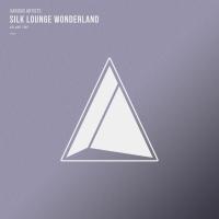 Artwork for Silk Lounge Wonderland, Vol.02 by Various Artists