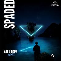 Artwork for Are U Dope (Remix) by Spaded