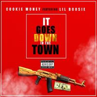 Artwork for It Goes Down in the Town (feat. Lil Boosie) by Cookie Money