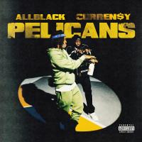 Artwork for Pelicans by ALLBLACK