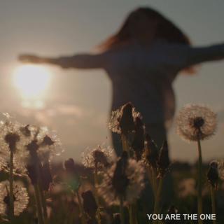 Artwork for You Are The One