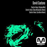 Artwork for Electric Voice by David Caetano