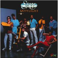 Artwork for Skyylight by Skyy