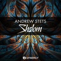 Artwork for Shalom by Andrew StetS