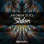 Artwork for Shalom (Original Mix)