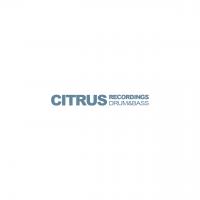 Artwork for Turning Point Remix Compilation : Citrus Side by Rregula