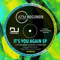 Artwork for It You Again EP by DJ Timbawolf