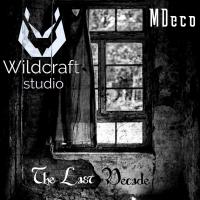 Artwork for The Last Decade by MDeco