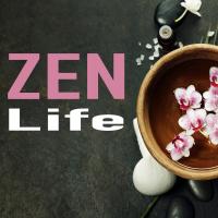 Artwork for Zen Life by Deep Sleep