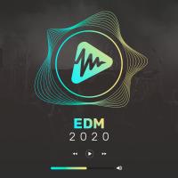 Artwork for EDM 2020 by Various Artists