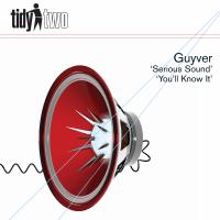 Artwork for Serious Sound by Guyver