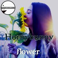 Artwork for Flower by Hornybunny