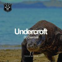 Artwork for Undercroft by DJ Csemak