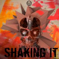 Artwork for Shaking It by Soulspeed