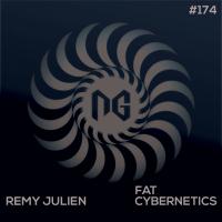 Artwork for Fat Cybernetics by Remy Julien