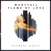 Artwork for Flame Of Love by Wanttall