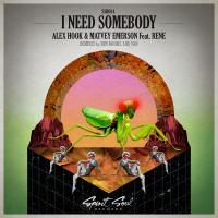 Artwork for I Need Somebody by Alex Hook